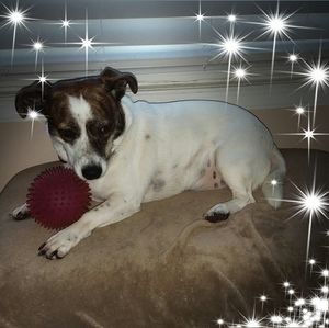 Meet your Posher, Ruthann